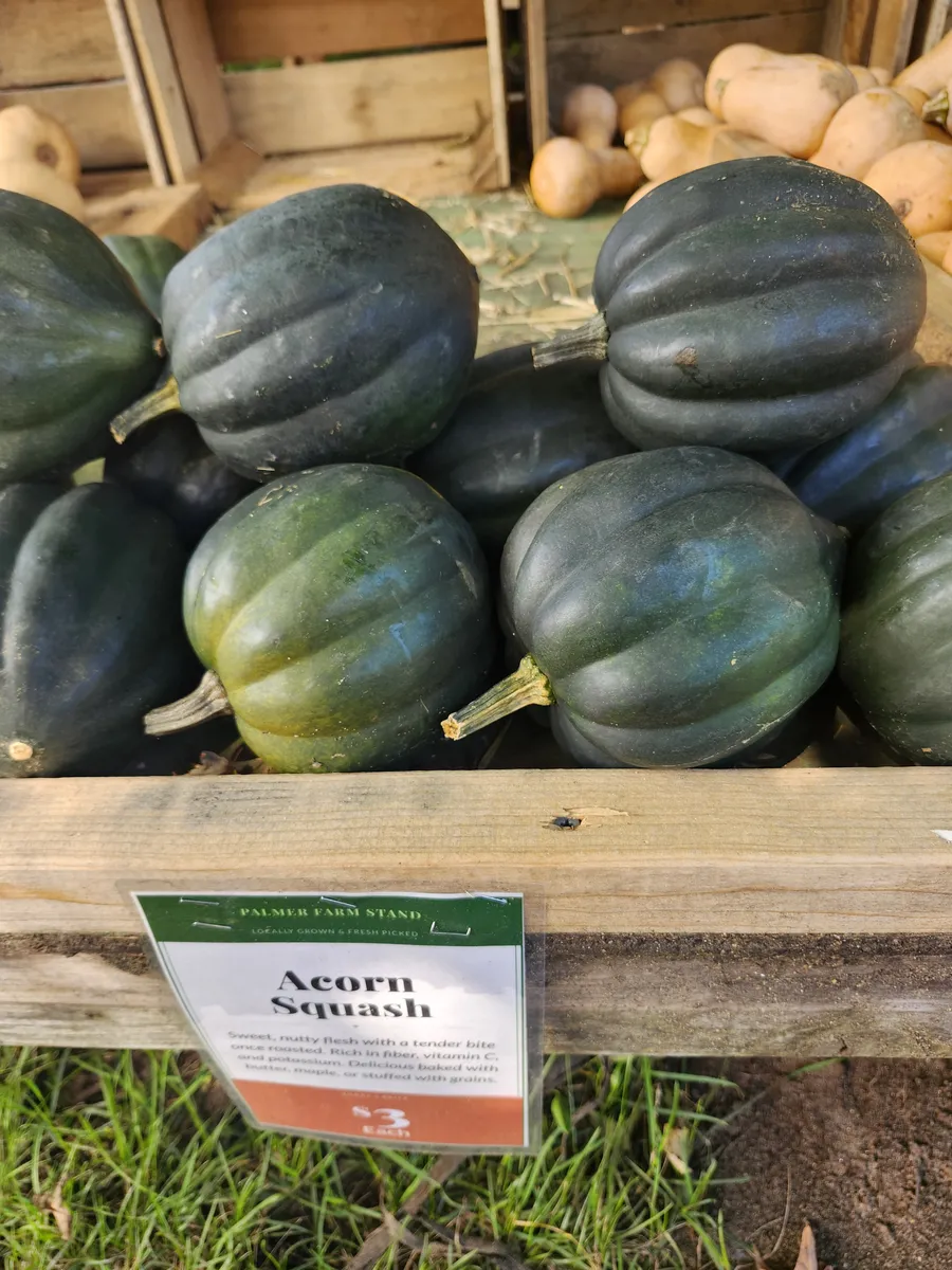 Acorn squash