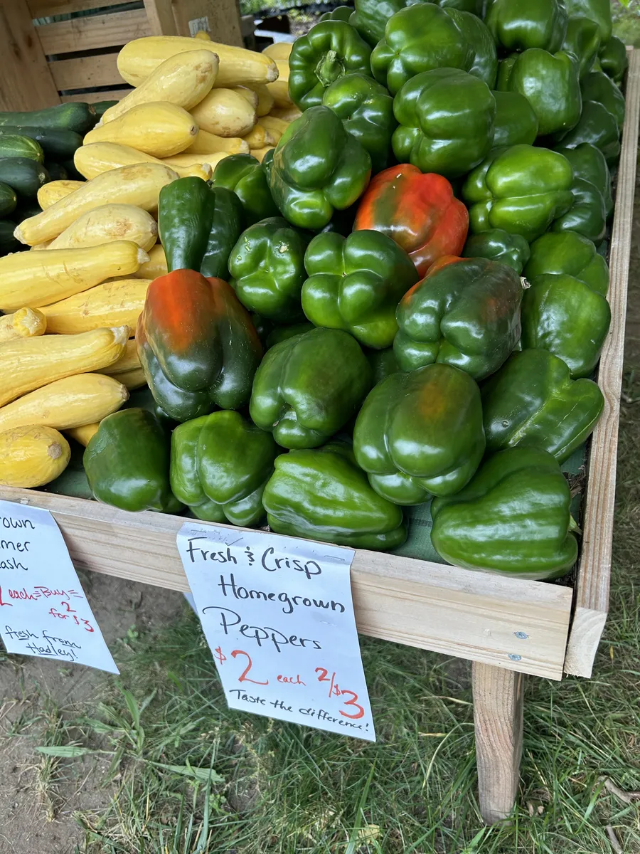 Bell peppers and summer squash