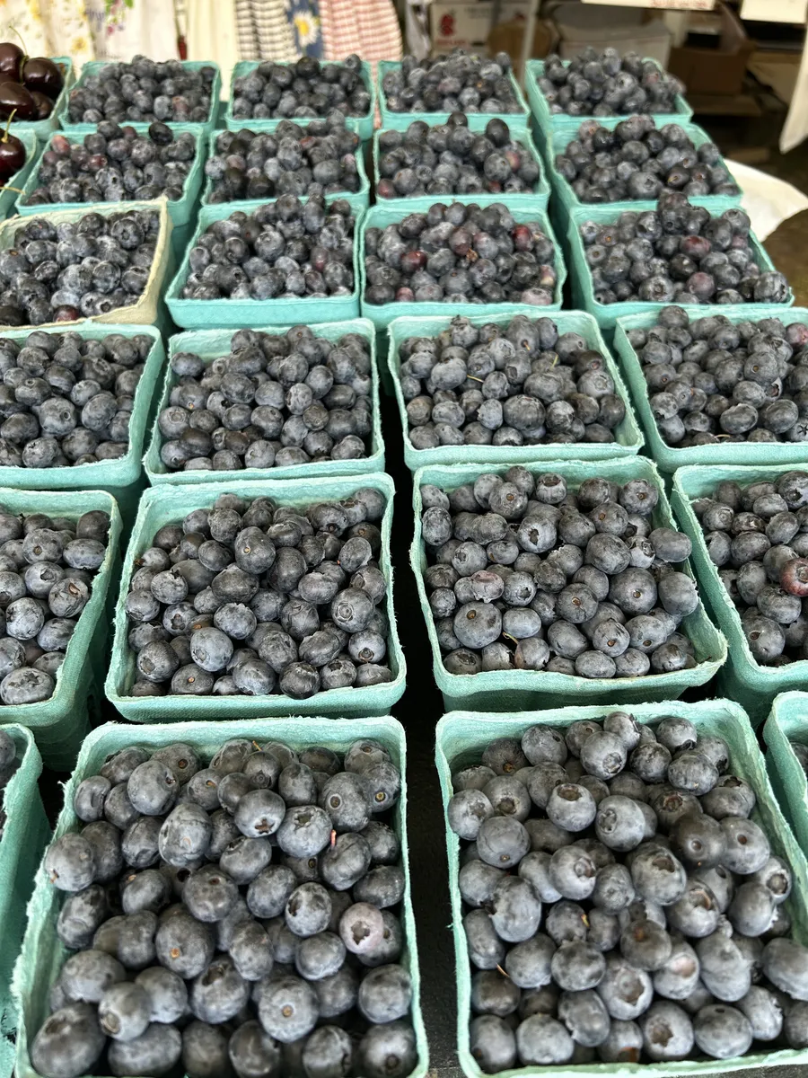 Plump blueberries by the pint