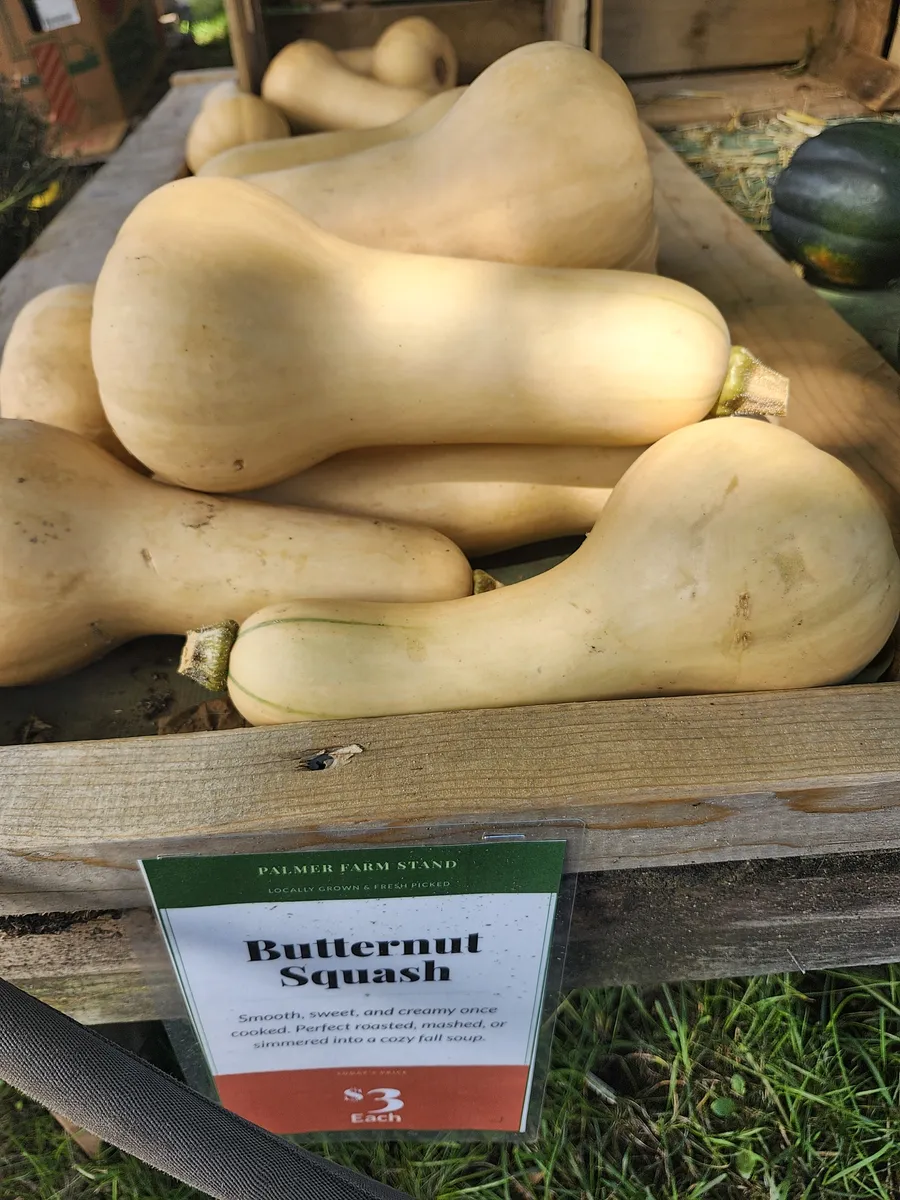 Butternut squash