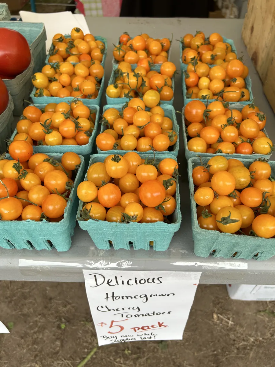 Golden cherry tomatoes