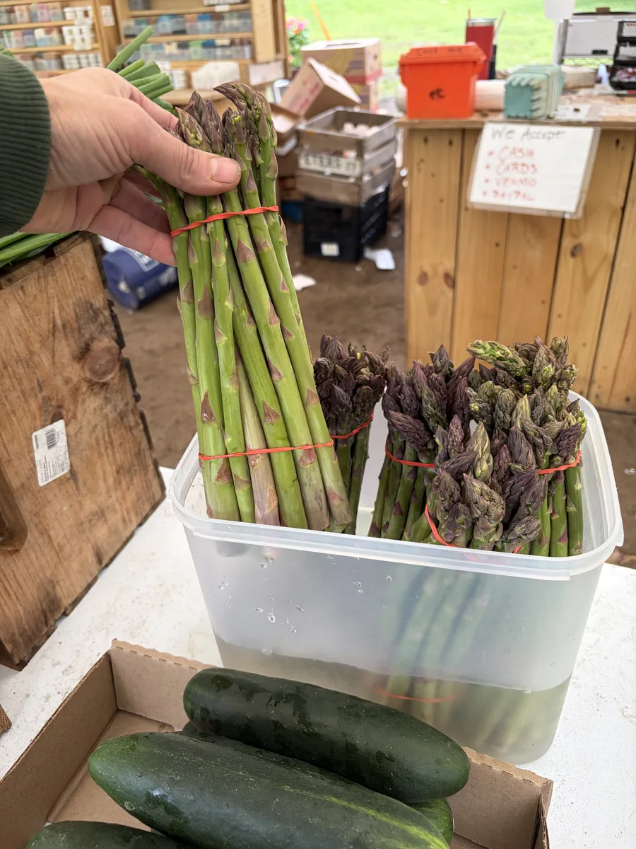 Fresh asparagus, one of the first tastes of the season