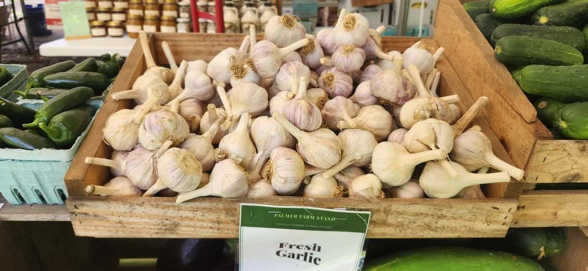 Fresh garlic