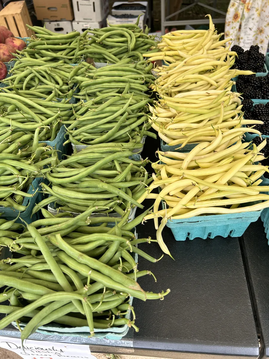 Green beans and yellow wax beans