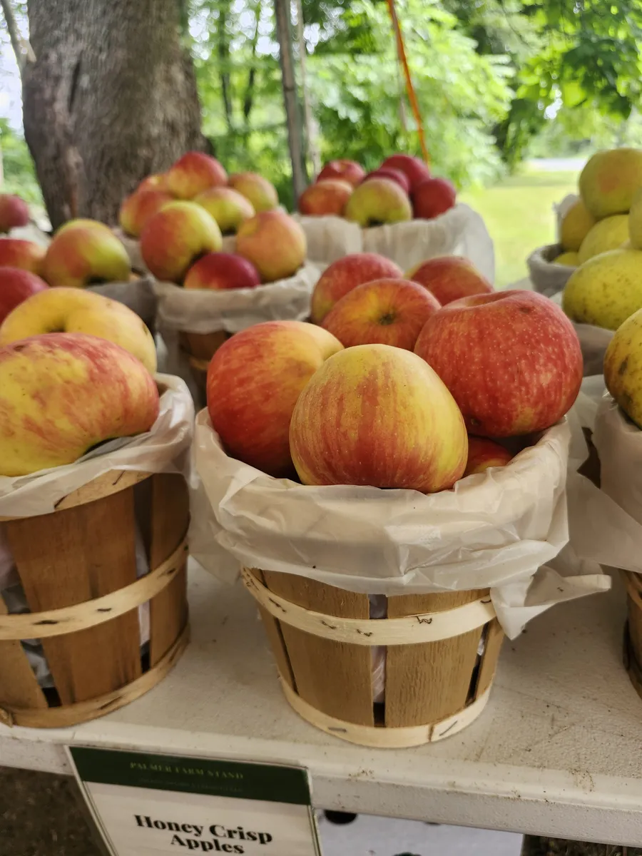 Honeycrisp apples