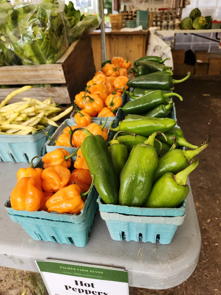 Hot peppers