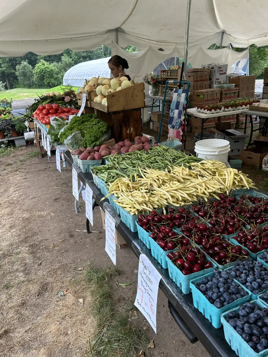 Tables of beans, cherries and blueberries under the tent
