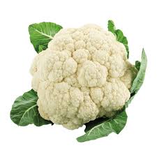 Cauliflower plant