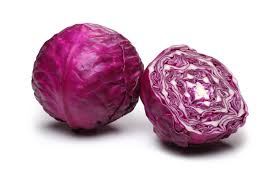 Red cabbage plant