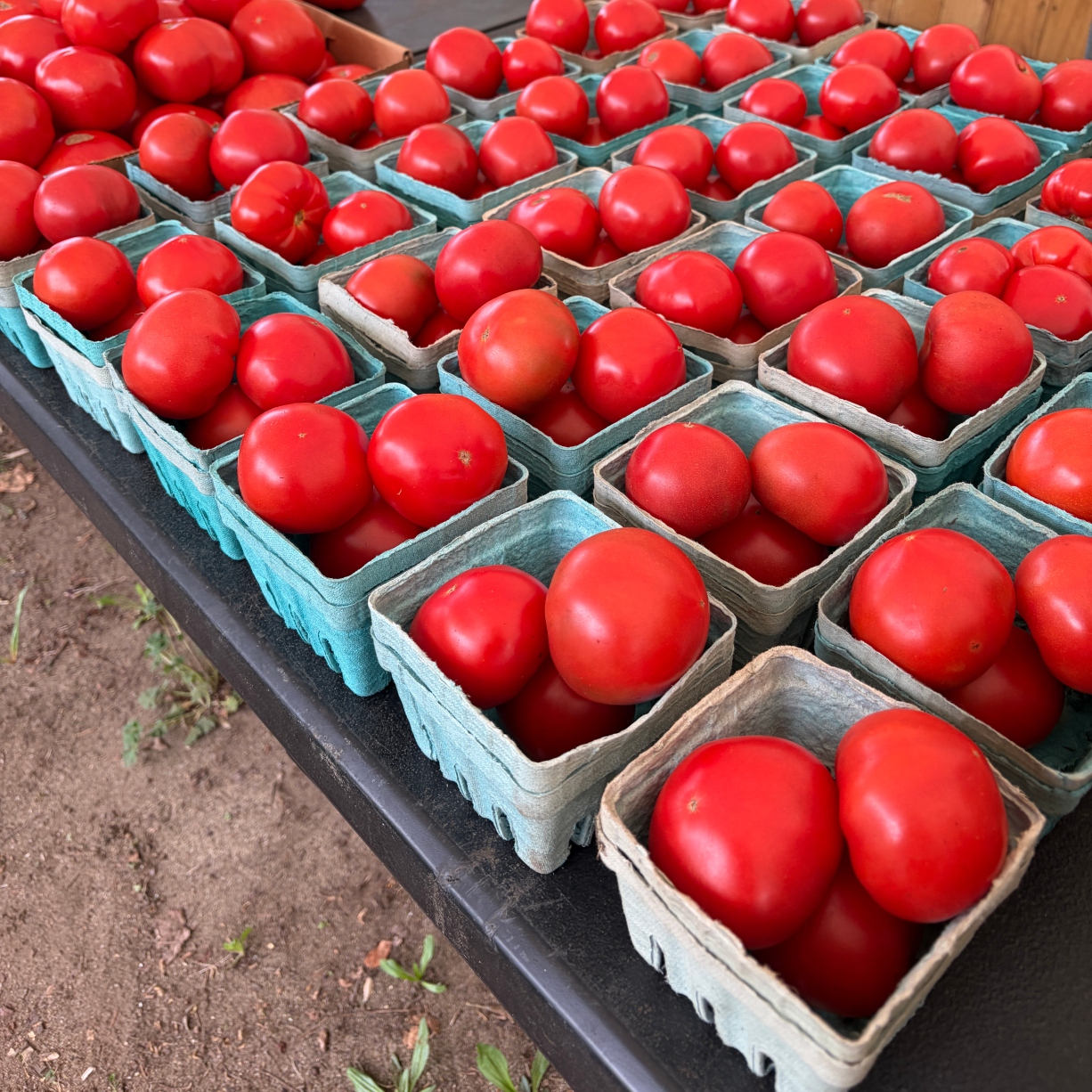 Fresh tomatoes by the box