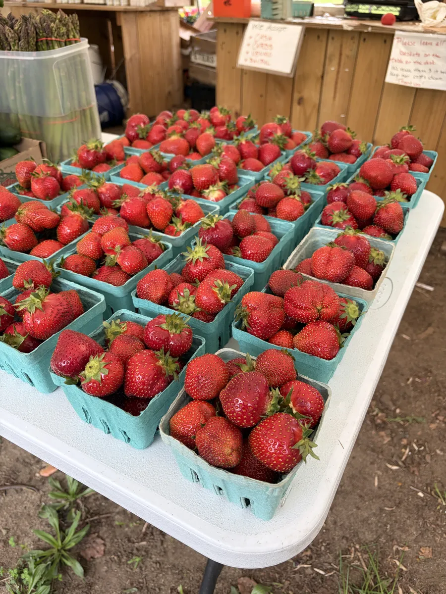 A table full of strawberry pints