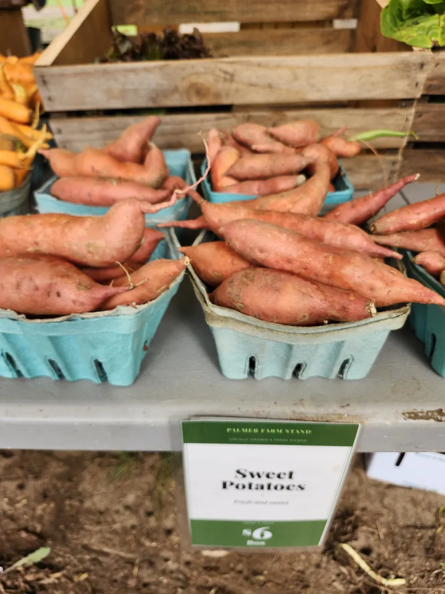 Sweet potatoes