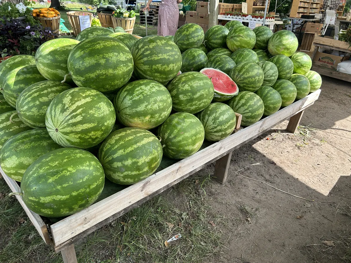 Watermelons piled high at the height of summer